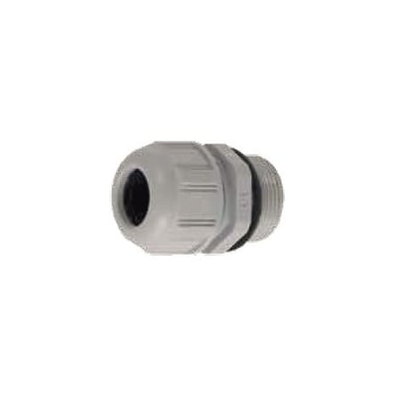 Molex